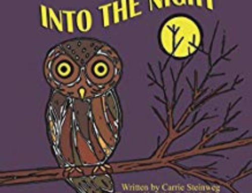 Carrie Steinweg –  Into the Night